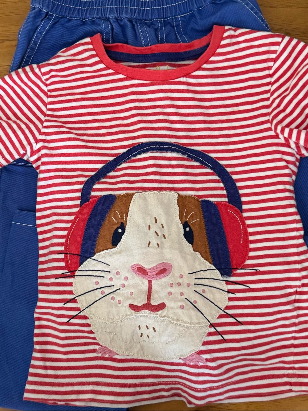 Mini Boden Red Stripe Tee with Graphic Hamster